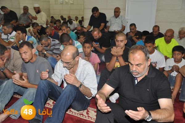 bazsalah lud 712 (24).JPG